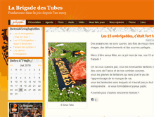 Tablet Screenshot of labrigadedestubes.com